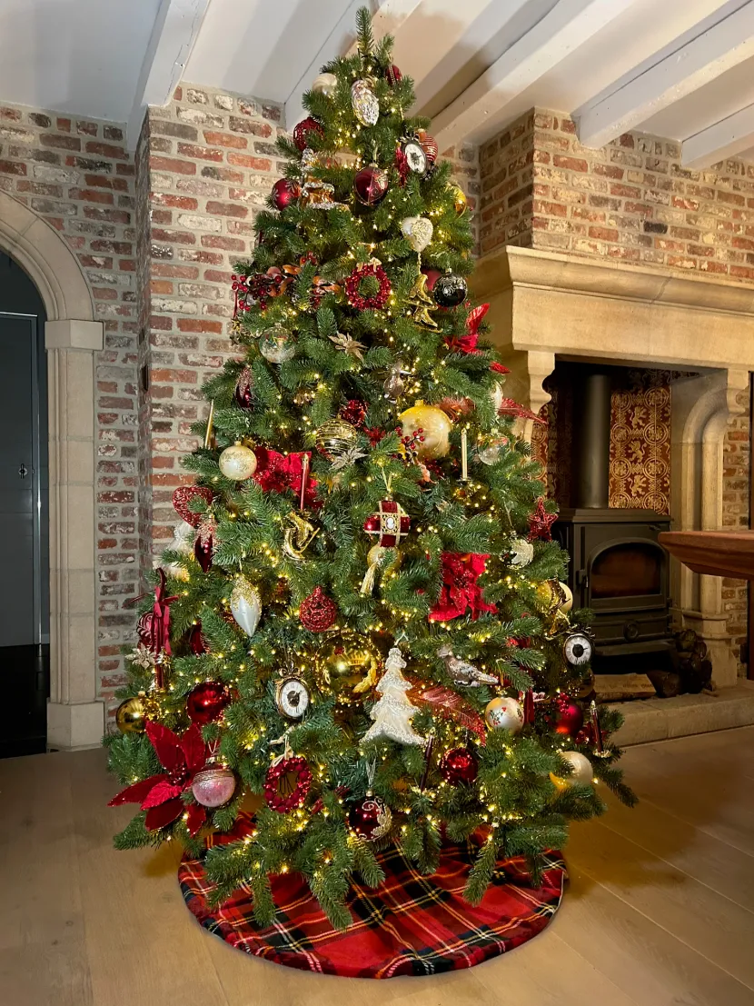 Feliz Navidad
