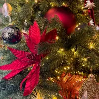 Feliz Navidad — detail 2