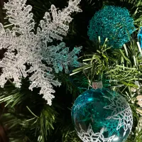Frozen Magic — detail 1