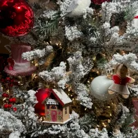 Ginger & Frost — detail 3