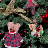 Paddington’s Pine — detail 3