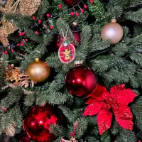 Paddington’s Pine — detail 2