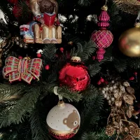Paddington’s Pine — detail 1