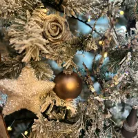 Reindeer — detail 1