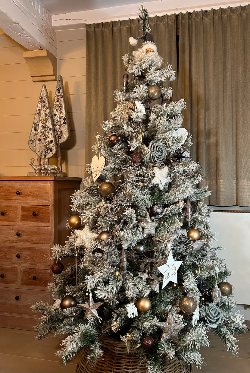 Reindeer