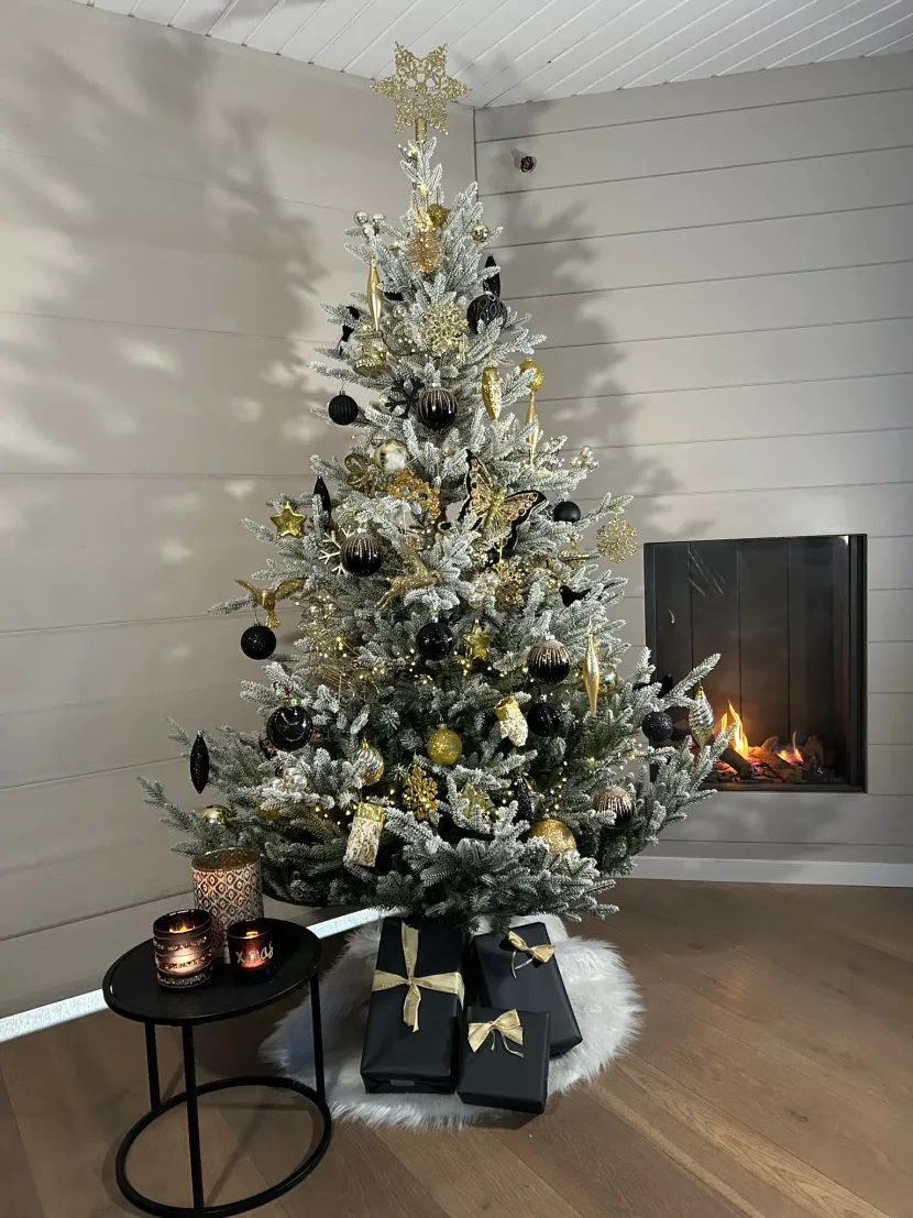 Whispers of Winter Gold